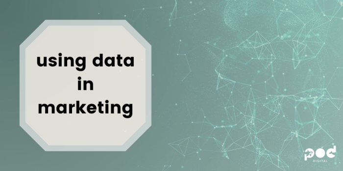 Using Data for Marketing